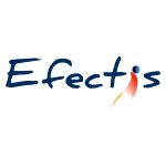 EfectisLogo-Google